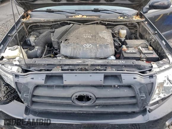 ✅ 2008 Toyota Tacoma • VIN: 5TEUU42N28Z480415 • Lot: 96396565. Listed on Copart with 196,724 mi. Free auction sales archive from the USA and detailed vehicle history report at DreamBid. Image 11.