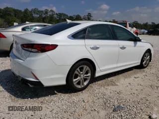 ✅ 2019 Hyundai Sonata SEL • VIN: 5NPE34AF7KH789034 • Lot: 43908303. Listed on Copart with Not provided. Free auction sales archive from the USA and detailed vehicle history report at DreamBid. Image 3.