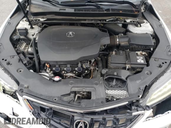 ✅ 2017 Acura TLX V6 w/Advance Pkg • VIN: 19UUB3F73HA001572 • Lot: 61229394. Listed on Copart with 146,344 mi. Free auction sales archive from the USA and detailed vehicle history report at DreamBid. Image 13.