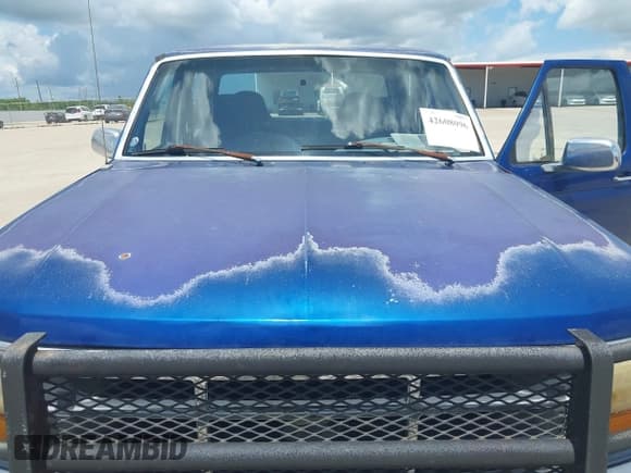 ✅ 1997 Ford F-250 • VIN: 1FTHW25F3VEC11651 • Lot: 42608096. Wystawiony na IAAI z przebiegiem Nie podano. Bezpłatny archiwum sprzedaży aukcyjnych z USA i szczegółowy raport historii pojazdu na DreamBid. Zdjęcie 10.