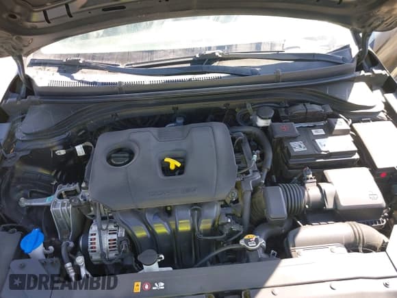 ✅ 2020 Hyundai Elantra SE • VIN: 5NPD74LF4LH536963 • Lot: 43100492. Listed on IAAI with 55,451 mi. Free auction sales archive from the USA and detailed vehicle history report at DreamBid. Image 10.