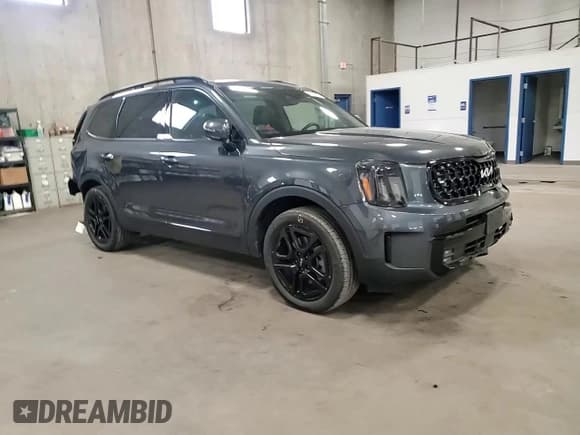 ✅ 2024 Kia Telluride SX X-Line • VIN: 5XYP5DGC1RG520898 • Лот: 87088095. Опубликован ранее на Copart с пробегом 21 933 миль. Бесплатный доступ к архиву аукционных продаж из США и подробный отчёт об истории автомобиля на DreamBid. Изображение 14.