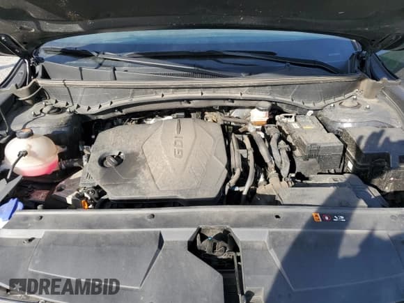 ✅ 2024 Hyundai Santa Cruz SEL • VIN: 5NTJCDDE0RH124652 • Лот: 82186635. Опубликован ранее на Copart с пробегом 48 117 миль. Бесплатный доступ к архиву аукционных продаж из США и подробный отчёт об истории автомобиля на DreamBid. Изображение 11.