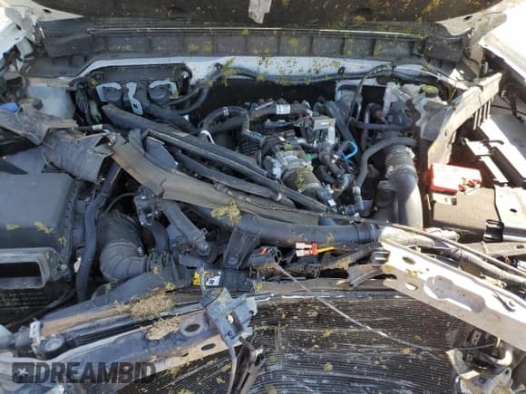 ✅ 2021 Ford Bronco • VIN: 1FMEE5DP8MLA91160 • Lot: 64061855. Wystawiony na Copart z przebiegiem 60 515 mil. Bezpłatny archiwum sprzedaży aukcyjnych z USA i szczegółowy raport historii pojazdu na DreamBid. Zdjęcie 12.