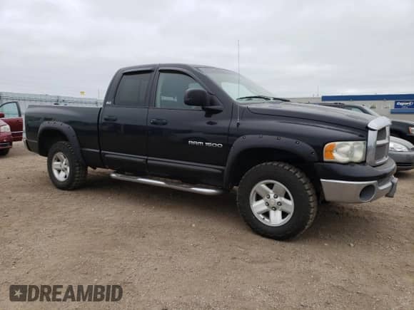 2002 Dodge 1500 with VIN 3D7HU18Z82G124571, listed as a Copart auction lot 65449724 with 228,926 mi miles and Salvage title. Bid and sale history available at DreamBid. Image 4.