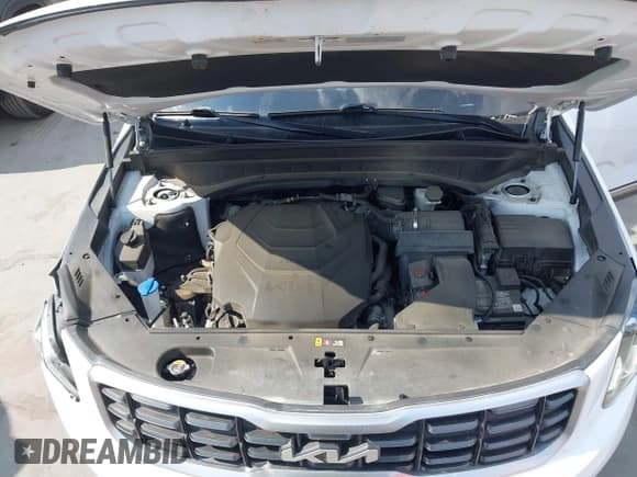 ✅ 2023 Kia Telluride S • VIN: 5XYP64GC2PG362386 • Lot: 43368199. Wystawiony na IAAI z przebiegiem 44 067 mil. Bezpłatny archiwum sprzedaży aukcyjnych z USA i szczegółowy raport historii pojazdu na DreamBid. Zdjęcie 10.