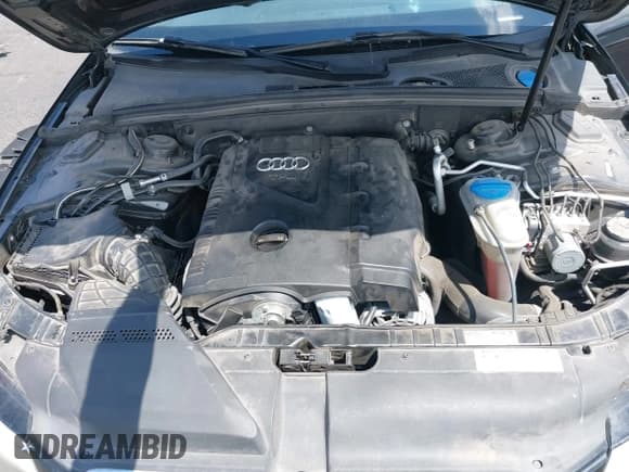 ✅ 2011 Audi A4 Premium • VIN: WAUAFAFL7BN046650 • Lot: 42789288. Wystawiony na IAAI z przebiegiem 115 866 mil. Bezpłatny archiwum sprzedaży aukcyjnych z USA i szczegółowy raport historii pojazdu na DreamBid. Zdjęcie 10.