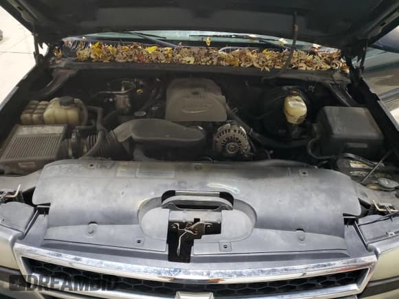 ✅ 2006 Chevrolet Silverado 1500 LT1 • VIN: 1GCEK19V26Z106975 • Лот: 92221865. Опубликован ранее на Copart с пробегом 204 187 миль. Бесплатный доступ к архиву аукционных продаж из США и подробный отчёт об истории автомобиля на DreamBid. Изображение 11.