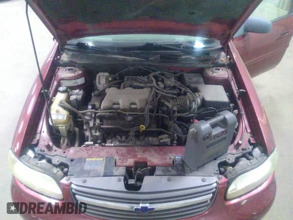 2003 Chevrolet Malibu z VIN 1G1ND52JX3M612404, wystawiony jako IAAI lot #40455018 z przebiegiem Nie podano mil oraz . Historia ofert i sprzedaży dostępna na DreamBid. Obrazek 10.