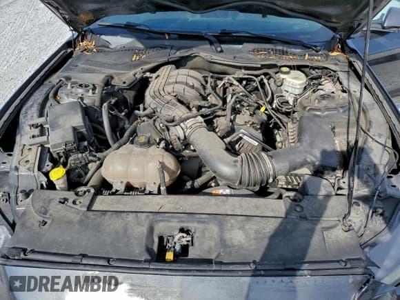 ✅ 2016 Ford Mustang V6 • VIN: 1FA6P8AM4G5255498 • Lot: 95666725. Listed on Copart with 66,877 mi. Free auction sales archive from the USA and detailed vehicle history report at DreamBid. Image 11.