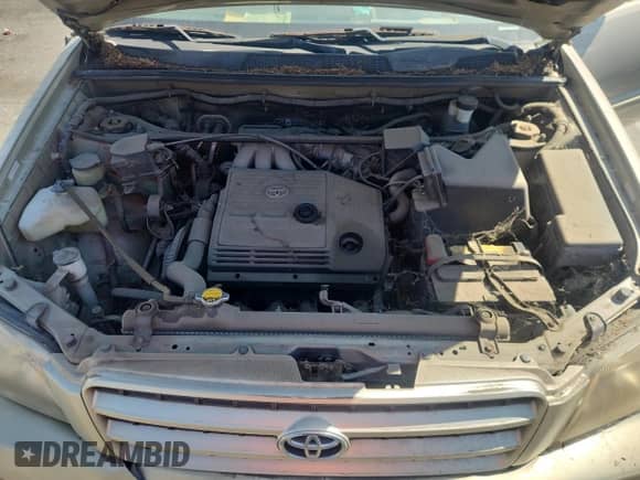 2001 Toyota Highlander с VIN JTEGF21A310007070, выставлен на аукционе Copart как лот 69781195 с пробегом 188 074 миль миль и На запчасти • Non repairable. История ставок и продаж доступна на DreamBid. Изображение 11.