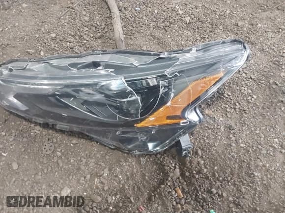 ✅ 2024 Nissan Altima S • VIN: 1N4BL4BV9RN360454 • Lot: 43021787. Wystawiony na IAAI z przebiegiem 29 058 mil. Bezpłatny archiwum sprzedaży aukcyjnych z USA i szczegółowy raport historii pojazdu na DreamBid. Zdjęcie 12.