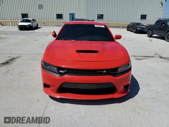 ✅ 2019 Dodge Charger Scat Pack • VIN: 2C3CDXGJ2KH742332 • Lot: 53868605. Wystawiony na Copart z przebiegiem 313 686 mil. Bezpłatny archiwum sprzedaży aukcyjnych z USA i szczegółowy raport historii pojazdu na DreamBid. Zdjęcie 13.