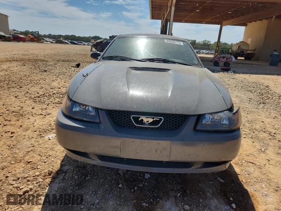 ✅ 2001 Ford Mustang Standard • VIN: 1FAFP404X1F163002 • Lot: 85290775. Wystawiony na Copart z przebiegiem 255 194 mil. Bezpłatny archiwum sprzedaży aukcyjnych z USA i szczegółowy raport historii pojazdu na DreamBid. Zdjęcie 5.