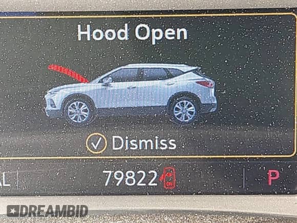 2020 Chevrolet Blazer LT z VIN 3GNKBJRS1LS685059, wystawiony jako IAAI lot #43345373 z przebiegiem 79 822 mil mil oraz . Historia ofert i sprzedaży dostępna na DreamBid. Obrazek 15.