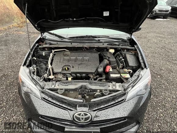 ✅ 2018 Toyota Corolla LE • VIN: 2T1BURHE9JC116855 • Лот: 43743780. Опубликован ранее на IAAI с пробегом 235 389 миль. Бесплатный доступ к архиву аукционных продаж из США и подробный отчёт об истории автомобиля на DreamBid. Изображение 10.