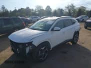 ✅ 2024 Hyundai Tucson SEL Convenience • VIN: KM8JCCD13RU175957 • Lot: 43413526. Wystawiony na IAAI z przebiegiem 17 888 mil. Bezpłatny archiwum sprzedaży aukcyjnych z USA i szczegółowy raport historii pojazdu na DreamBid. Zdjęcie 18.