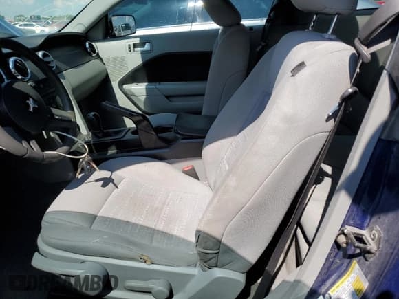 ✅ 2009 Ford Mustang • VIN: 1ZVHT80N395127410 • Lot: 53974835. Wystawiony na Copart z przebiegiem 146 356 mil. Bezpłatny archiwum sprzedaży aukcyjnych z USA i szczegółowy raport historii pojazdu na DreamBid. Zdjęcie 7.