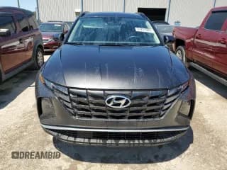 ✅ 2023 Hyundai Tucson SEL • VIN: 5NMJF3AEXPH185537 • Lot: 51231593. Wystawiony na Copart z przebiegiem 7 379 mil. Bezpłatny archiwum sprzedaży aukcyjnych z USA i szczegółowy raport historii pojazdu na DreamBid. Zdjęcie 5.