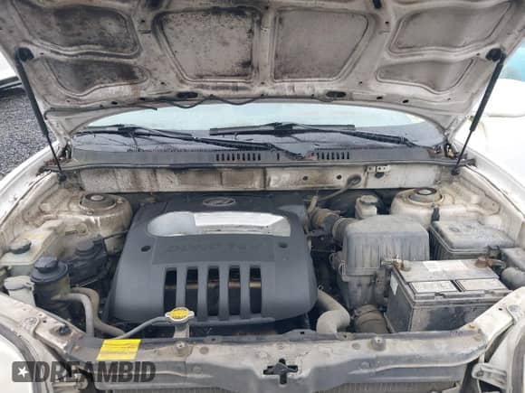 ✅ 2002 Hyundai Santa Fe • VIN: KM8SB12B52U203836 • Лот: 41828522. Размещён на IAAI с пробегом 186 315 миль миль. Получите бесплатный доступ к архиву аукционных продаж из США и посмотрите подробный отчёт об истории автомобиля на DreamBid. Изображение 10.