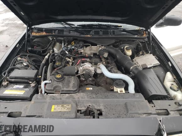 ✅ 2010 Ford Police Interceptor • VIN: 2FABP7BV9AX102198 • Лот: 56204475. Опубликован ранее на Copart с пробегом 88 768 миль. Бесплатный доступ к архиву аукционных продаж из США и подробный отчёт об истории автомобиля на DreamBid. Изображение 11.