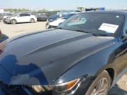 ✅ 2016 Ford Mustang EcoBoost • VIN: 1FA6P8TH7G5281531 • Lot: 43334626. Listed on IAAI with 136,026 mi. Free auction sales archive from the USA and detailed vehicle history report at DreamBid. Image 6.