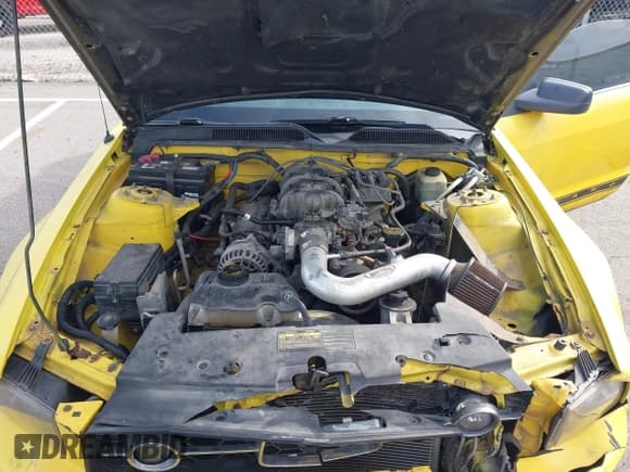 ✅ 2006 Ford Mustang Standard • VIN: 1ZVHT80N065151143 • Lot: 43535514. Listed on IAAI with 178,420 mi. Free auction sales archive from the USA and detailed vehicle history report at DreamBid. Image 10.