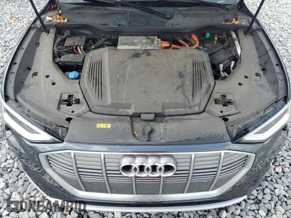 ✅ 2019 Audi e-tron Premium Plus • VIN: WA1LAAGE8KB024694 • Lot: 54429195. Listed on Copart with 46,534 mi. Free auction sales archive from the USA and detailed vehicle history report at DreamBid. Image 12.