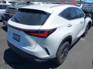 ✅ 2025 Lexus NX 250 • VIN: 2T2ADCAZ1SC025730 • Lot: 42605987. Wystawiony na IAAI z przebiegiem 697 mil. Bezpłatny archiwum sprzedaży aukcyjnych z USA i szczegółowy raport historii pojazdu na DreamBid. Zdjęcie 4.