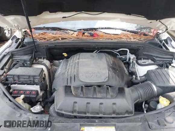 ✅ 2012 Dodge Durango Citadel • VIN: 1C4SDJET2CC112601 • Lot: 43643414. Wystawiony na IAAI z przebiegiem 175 860 mil. Bezpłatny archiwum sprzedaży aukcyjnych z USA i szczegółowy raport historii pojazdu na DreamBid. Zdjęcie 10.