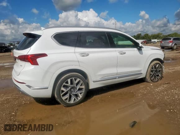 ✅ 2023 Hyundai Santa Fe Calligraphy • VIN: 5NMS54AL4PH492309 • Lot: 80995405. Listed on Copart with 12,231 mi. Free auction sales archive from the USA and detailed vehicle history report at DreamBid. Image 3.