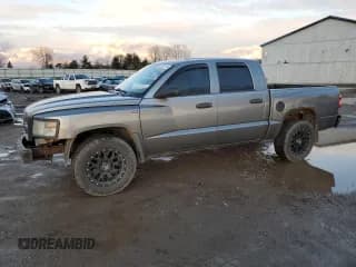 ✅ 2009 Dodge Dakota Bighorn/Lonestar • VIN: 1D7HW38P09S742250 • Lot: 81452114. Wystawiony na Copart z przebiegiem 166 481 mil. Bezpłatny archiwum sprzedaży aukcyjnych z USA i szczegółowy raport historii pojazdu na DreamBid. Zdjęcie 1.