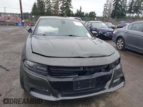 ✅ 2017 Dodge Charger Daytona 340 • VIN: 2C3CDXCT2HH615161 • Lot: 41901296. Wystawiony na IAAI z przebiegiem Nie podano. Bezpłatny archiwum sprzedaży aukcyjnych z USA i szczegółowy raport historii pojazdu na DreamBid. Zdjęcie 11.
