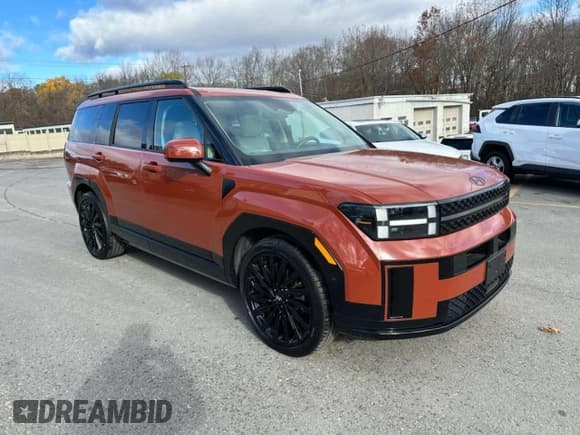 ✅ 2024 Hyundai Santa Fe Calligraphy • VIN: 5NMP5DGL0RH048439 • Lot: 93480855. Listed on Copart with 27,142 mi. Free auction sales archive from the USA and detailed vehicle history report at DreamBid. Image 4.