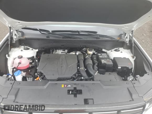 ✅ 2025 Hyundai Santa Fe SE • VIN: 5NMP1DGL4SH068808 • Lot: 57065365. Listed on Copart with 4,667 mi. Free auction sales archive from the USA and detailed vehicle history report at DreamBid. Image 11.