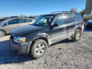 ✅ 2005 Ford Escape XLT • VIN: 1FMYU93105KB49578 • Лот: 89909515. Опубликован ранее на Copart с пробегом 193 691 миль. Бесплатный доступ к архиву аукционных продаж из США и подробный отчёт об истории автомобиля на DreamBid. Изображение 1.
