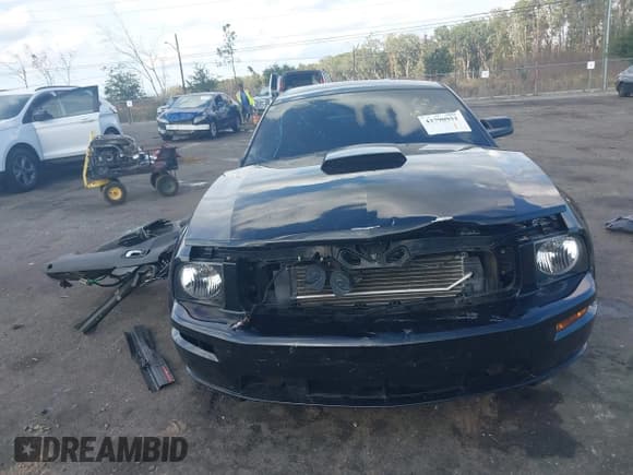 ✅ 2009 Ford Mustang GT • VIN: 1ZVHT82H095139182 • Lot: 43790951. Listed on IAAI with 105,023 mi. Free auction sales archive from the USA and detailed vehicle history report at DreamBid. Image 12.
