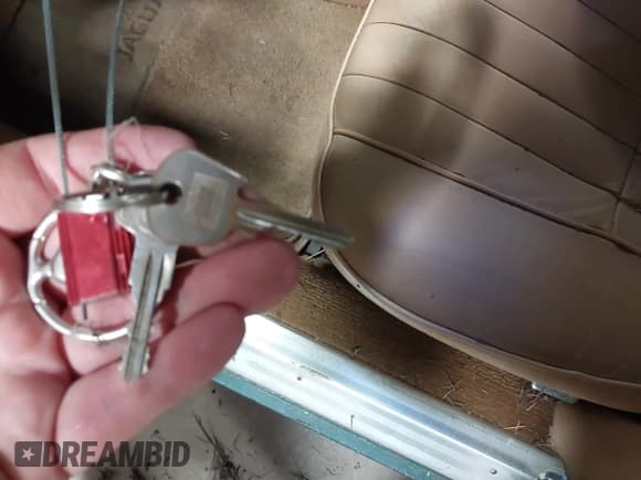 ✅ 1985 Jaguar XJ • VIN: SAJAV1347FC414864 • Lot: 42118511. Listed on IAAI with 117,185 mi. Free auction sales archive from the USA and detailed vehicle history report at DreamBid. Image 11.