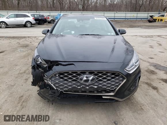 ✅ 2019 Hyundai Sonata SEL • VIN: 5NPE34AF8KH790449 • Lot: 36923783. Listed on Copart with 25,772 mi. Free auction sales archive from the USA and detailed vehicle history report at DreamBid. Image 5.