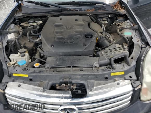 ✅ 2003 Infiniti G35 • VIN: JNKCV51E83M322564 • Lot: 56834315. Wystawiony na Copart z przebiegiem 207 680 mil. Bezpłatny archiwum sprzedaży aukcyjnych z USA i szczegółowy raport historii pojazdu na DreamBid. Zdjęcie 11.