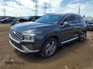 ✅ 2021 Hyundai Santa Fe SEL • VIN: 5NMS3DAJXMH308894 • Lot: 61654984. Wystawiony na Copart z przebiegiem 49 223 mil. Bezpłatny archiwum sprzedaży aukcyjnych z USA i szczegółowy raport historii pojazdu na DreamBid. Zdjęcie 1.