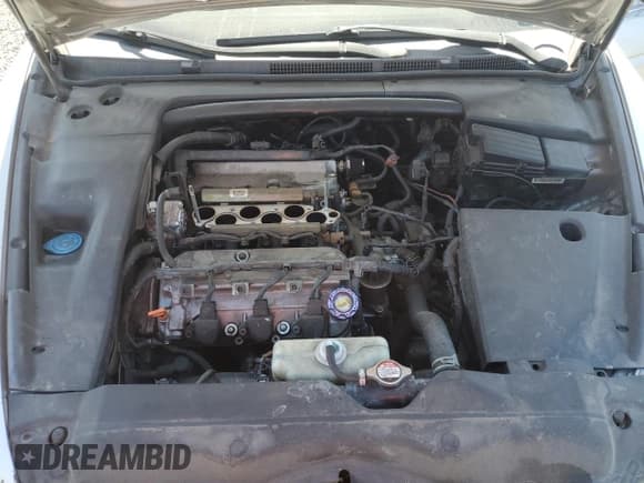 ✅ 2006 Acura TL • VIN: 19UUA65546A060311 • Лот: 52734125. Опубликован ранее на Copart с пробегом Не указан. Бесплатный доступ к архиву аукционных продаж из США и подробный отчёт об истории автомобиля на DreamBid. Изображение 11.