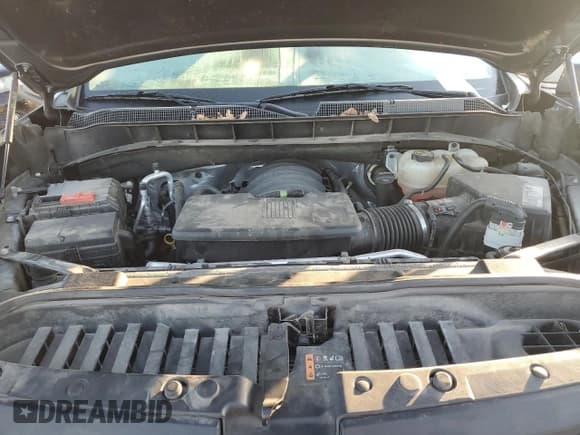 ✅ 2019 Chevrolet Silverado 1500 LT • VIN: 1GCRYDED9KZ245459 • Lot: 85310685. Wystawiony na Copart z przebiegiem 52 680 mil. Bezpłatny archiwum sprzedaży aukcyjnych z USA i szczegółowy raport historii pojazdu na DreamBid. Zdjęcie 11.