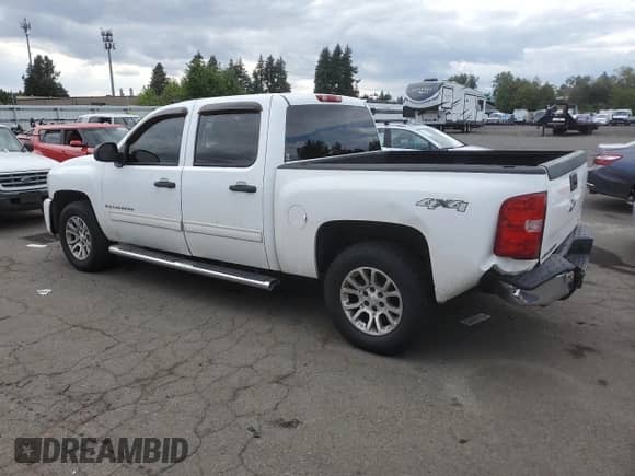 2009 Chevrolet Silverado 1500 LS with VIN 3GCEK13C69G131891, listed as a Copart auction lot 65636475 with 255,241 mi miles and Salvage title. Bid and sale history available at DreamBid. Image 2.
