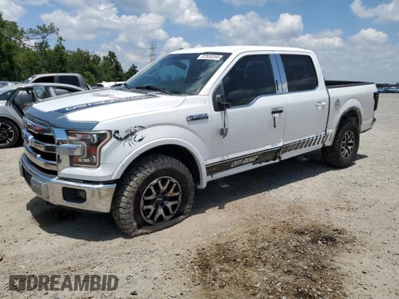 ✅ 2015 Ford F-150 XLT • VIN: 1FTEW1EF3FFB05211 • Lot: 57533255. Listed on Copart with 292,211 mi. Free auction sales archive from the USA and detailed vehicle history report at DreamBid. Image 1.