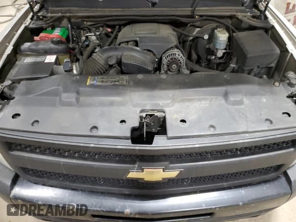 ✅ 2009 Chevrolet Silverado 1500 Work Truck • VIN: 1GCEK14C79Z207651 • Lot: 82931744. Listed on Copart with 313,098 mi. Free auction sales archive from the USA and detailed vehicle history report at DreamBid. Image 11.