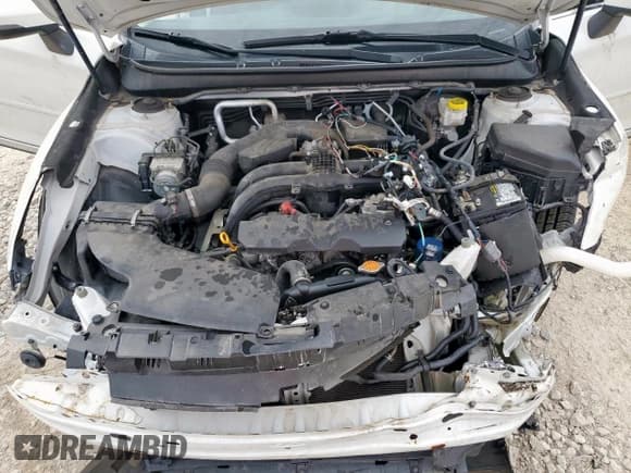 ✅ 2019 Subaru Outback Touring • VIN: 4S4BSATC5K3382358 • Лот: 64799895. Опубликован ранее на Copart с пробегом 53 487 миль. Бесплатный доступ к архиву аукционных продаж из США и подробный отчёт об истории автомобиля на DreamBid. Изображение 12.