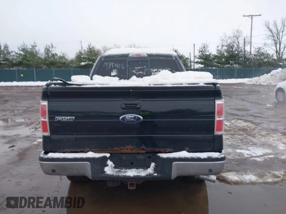 ✅ 2009 Ford F-150 XL • VIN: 1FTPW14V99FB36002 • Lot: 43814812. Listed on IAAI with Not provided. Free auction sales archive from the USA and detailed vehicle history report at DreamBid. Image 16.