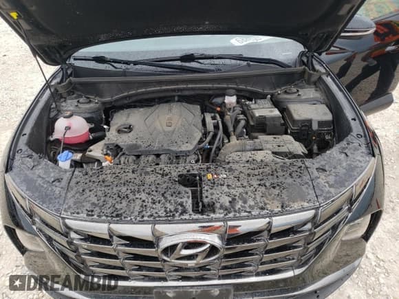 ✅ 2023 Hyundai Tucson Limited • VIN: 5NMJE3AE2PH274912 • Lot: 68886504. Wystawiony na Copart z przebiegiem 27 277 mil. Bezpłatny archiwum sprzedaży aukcyjnych z USA i szczegółowy raport historii pojazdu na DreamBid. Zdjęcie 12.