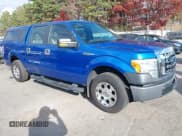 ✅ 2010 Ford F-150 XL • VIN: 1FTEW1C84AFD53299 • Lot: 43663240. Listed on IAAI with 165,395 mi. Free auction sales archive from the USA and detailed vehicle history report at DreamBid. Image 1.